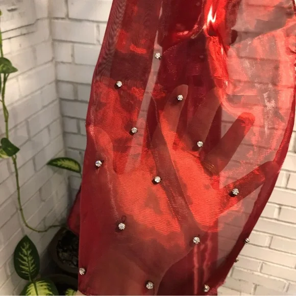 Deep Red Prom Dress - Picture 17 of 17